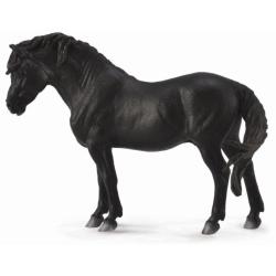 COLLECTA 88603 KUC RASY DARTMOOR CZARNY OGIER rozmiar:L - 1