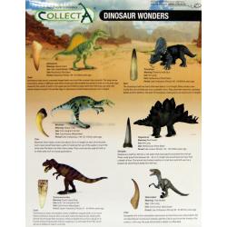 Collecta 89179 Dinozaury 2szt. z zębem i kolcem z ogona w prezentowym pudełku (004-89179) - 4
