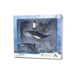 COLLECTA 88050 6 morskich zwierząt w prezentowym pudełku (004-84050) - 1