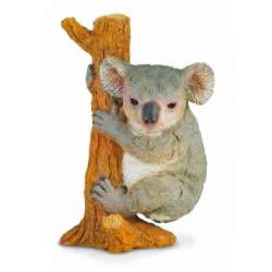 COLLECTA 88356 KOALA WSPINAJĄCY SIĘ   ROZMIAR:M (004-88356) - 2