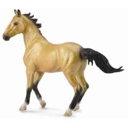 COLLECTA 88624 KLACZ AKHAL-TEKE BUCKSKIN  rozmiar:XL (004-88624) - 2