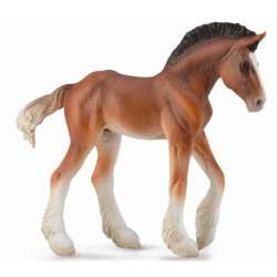 COLLECTA 88625 ŹREBIĘ CLYDESDALE BAY  rozmiar:M (004-88625) - 2