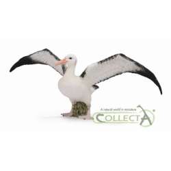 CollectA 88765 Albatros wędrowny,   rozmiar: L (004-88765) - 3