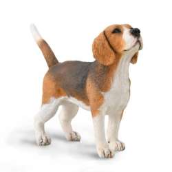 CollectA 88935 pies rasy Beagle (004-88935) - 1