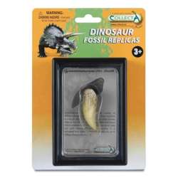 CollectA 89281 ząb Tyranozaura w pudełku (004-89281) - 2