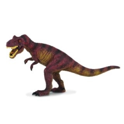 CollectA 88036 Dinozaur Tyranozaur     rozmiar:L (004-88036) - 1