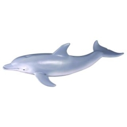 COLLECTA 88042 DELFIN BUTLONOSY   rozmiar:M (004-88042) - 1