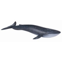 COLLECTA 88044 WALEŃ PŁETWAL BŁĘKITNY  rozmiar:XL (004-88044) - 1