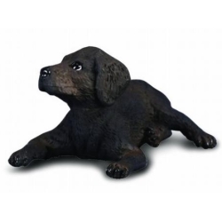 COLLECTA 88077 PIES LABRADOR SZCZENIAK    ROZMIAR:S (004-88077) - 1