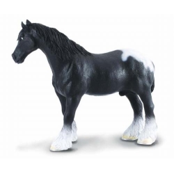 COLLECTA 88149 KOŃ RASY SHIRE SROKATY   ROZMIAR:XL (004-88149) - 1