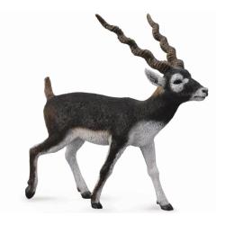 CollectA 88638 Antylopa blackbuck  rozmiar:L (004-88638) - 1