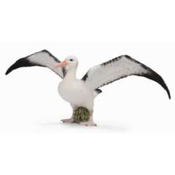 CollectA 88765 Albatros wędrowny,   rozmiar: L (004-88765) - 2